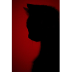 Somekat