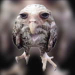 GSRP PC Whitelist