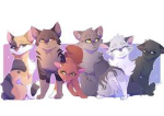 !! Poptart's Walls! !!
