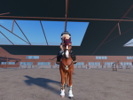 KB equestrian riding academy And horses
