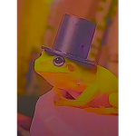 ..frogs..