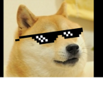 Doge and a Bacon