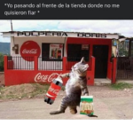 Grupo para chatear hablar lo que queramos de kimet