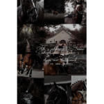 ||- aesthetic minds -||