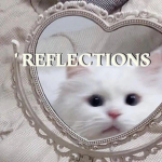 ' reflections