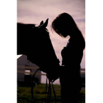The coolest horses