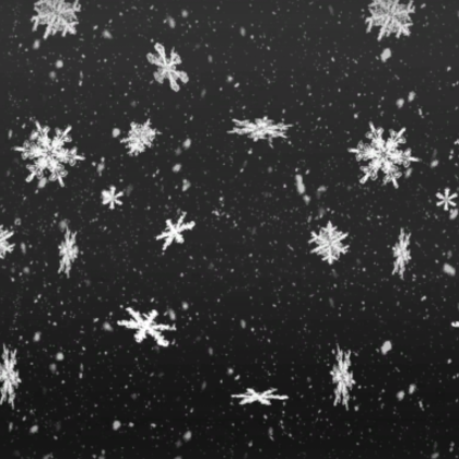 Black & White Classic Snow 