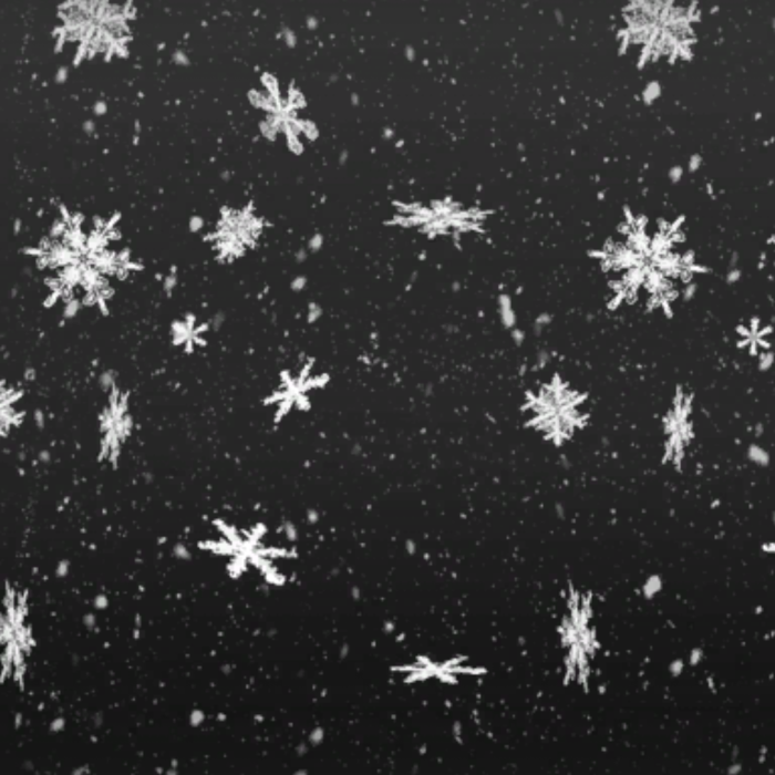 Black & White Classic Snow 