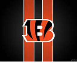 Bengals Stadium