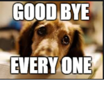 Bye bye!