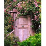 faye's garden