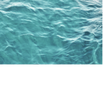 Water Fans Club