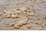 sludge CO.