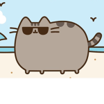 say meoww!!