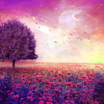 —Naturalfairy—