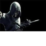 the assasins 2012