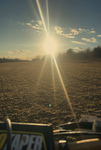 THE COTTON COMMUNITY