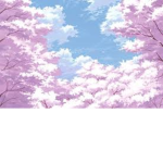 Sakura (桜)