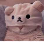 Ayoooo GRRRR