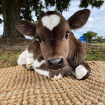animal.hub