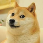 Doge club of armys
