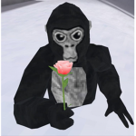 Monkey Centre