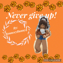 Never Give Up!