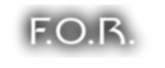 fighters of ro force