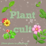 「Plant..Cult」