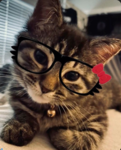 astridddsxxluvs