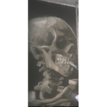 Skeleton bubble gum