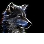 The Animal Group (ANY ANIMAL ALLOWED)