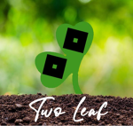 Two Leaf
