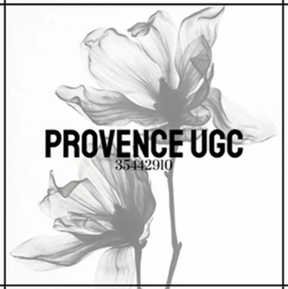 ProvenceUGC Roblox group icon