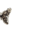 .Vintage.Butterfly.