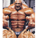 feel my muscle