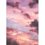 Aesthetics By Ari