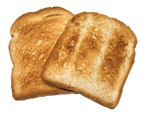 ToastByte Labs
