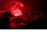 Red Moon Rebellion