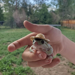 💚🐸