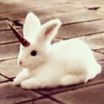 losers AND bunnies