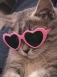 Slayyyss <3