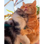 Mums children!
