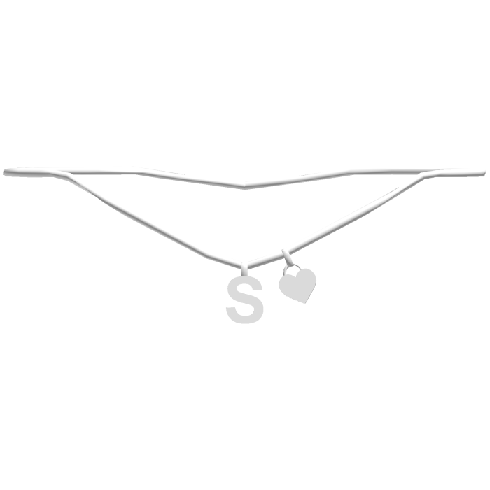 1.0 silver white S initial