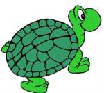 Turtles Rule!