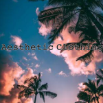 Aesthetic_Clothing Shop