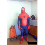 spider-man and elsa group