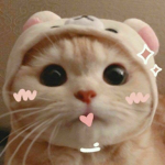 .Tinks.