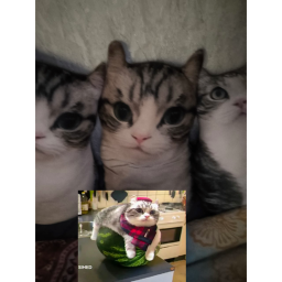 sdfsdfgdgd