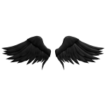 Black Wings